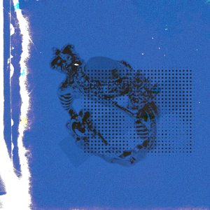 法国贵妇色情经典
