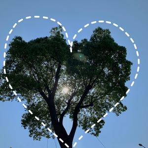 法国贵妇色情经典
